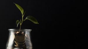 Plant Growing From Jar Coins With Copy Space Scaled